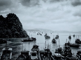 千帆竞渡