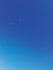 213