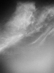 2012-05-06 18.36.jpg