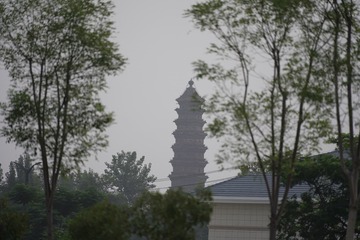 D5996FC6-E798-4E58-8727-1526BCE78123/L0/001