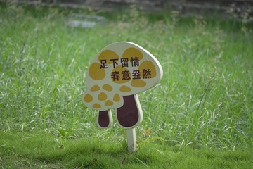 4EF4A3C9-3BCF-421F-AABF-F54E52FE1D13/L0/001