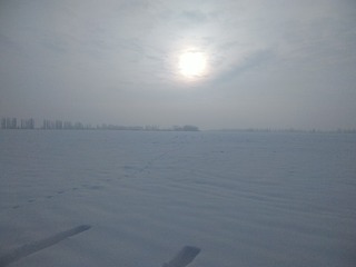 1171771