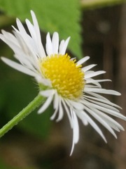 1895122