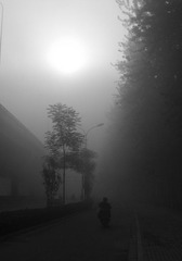 5f09cc49hbfe710b66dcb&690.jpg