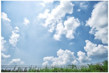 LEE_4497 副本.jpg