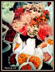 2012-03-03 15.33.55.jpg