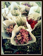 2012-03-03 15.35.00.jpg