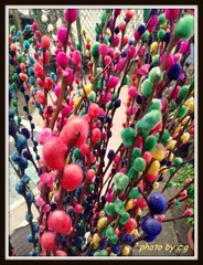 2012-03-03 15.58.01.jpg