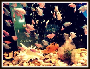 2012-03-004.jpg