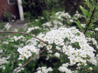 IMG_9383_副本.jpg