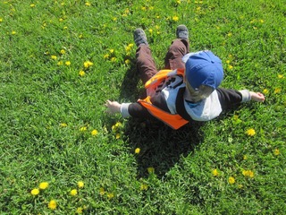 IMG_9468.JPG