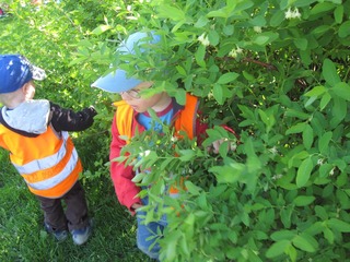 IMG_9479.JPG