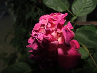 9E915510-1143-4670-ABF3-86FEBD401A13/L0/001