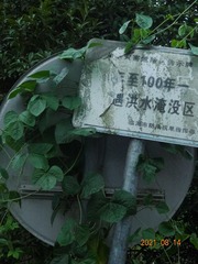 136926