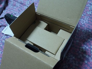 P5310254.jpg
