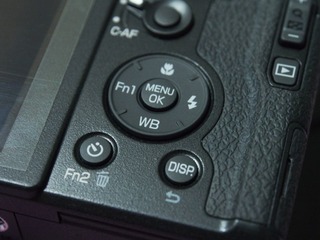 P5310251.jpg