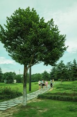 R0001331.jpg