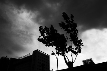 R0001559.jpg