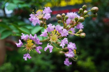 R0001484.jpg