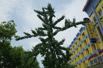 R0001482.jpg