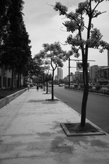 R0001461.jpg