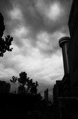 R0001562.jpg