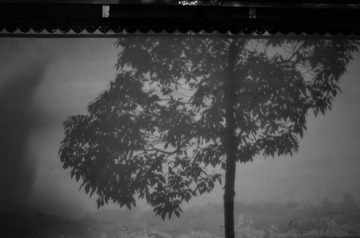R0001964.jpg
