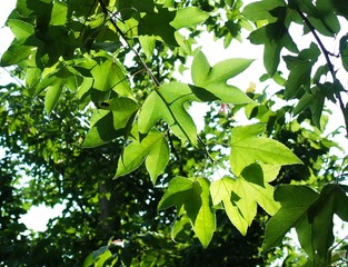 R0001727.jpg