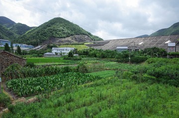 R0002517.jpg