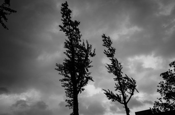 R0002469.jpg