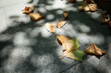 R0002558.jpg