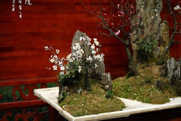 DPP_0015.JPG