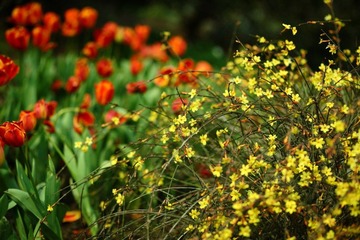 DPP_0016.JPG