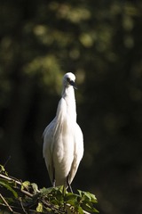 DSC_5244 拷贝