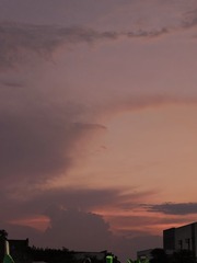 1000009521