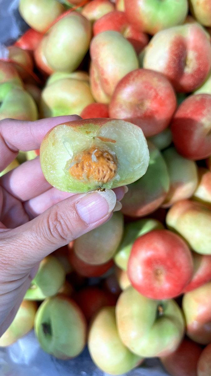 纽扣蟠桃 - 小黑妖妖 - 图虫