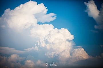 IMG_7123.jpg