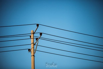 IMG_7126.jpg