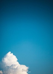 IMG_7152.jpg