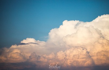 IMG_7174.jpg