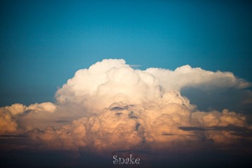 IMG_7178.jpg