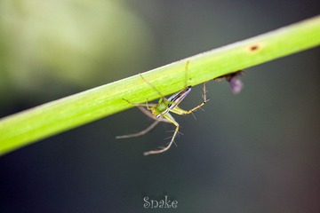 IMG_7154.jpg