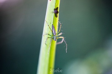IMG_7155.jpg