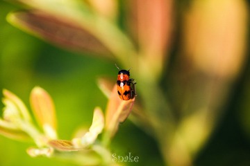 IMG_7409.jpg
