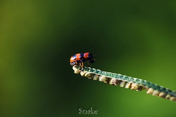 IMG_7418.jpg