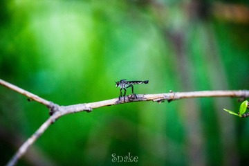 IMG_7434.jpg