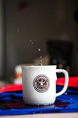 IMG_7368.jpg
