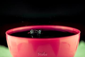 IMG_8752.jpg