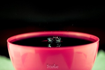 IMG_8765.jpg