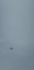 F6BE4B16-B7E0-40B7-9470-A01C62493FCF/L0/001